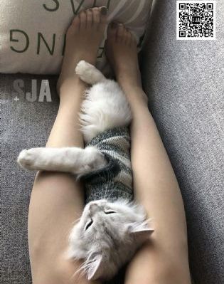 tahan菲律宾