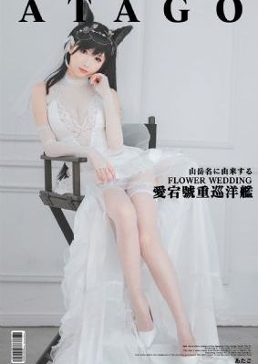 黄金小子动画全集高清在线观看