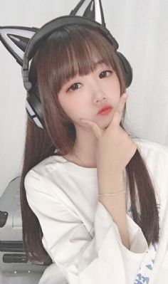 惩戒者