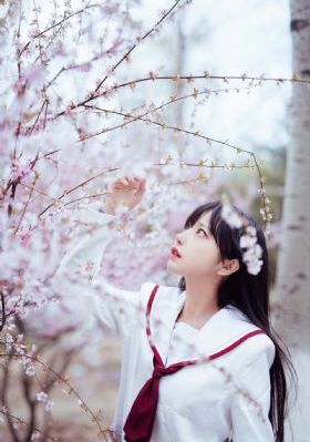 视频在线观看91